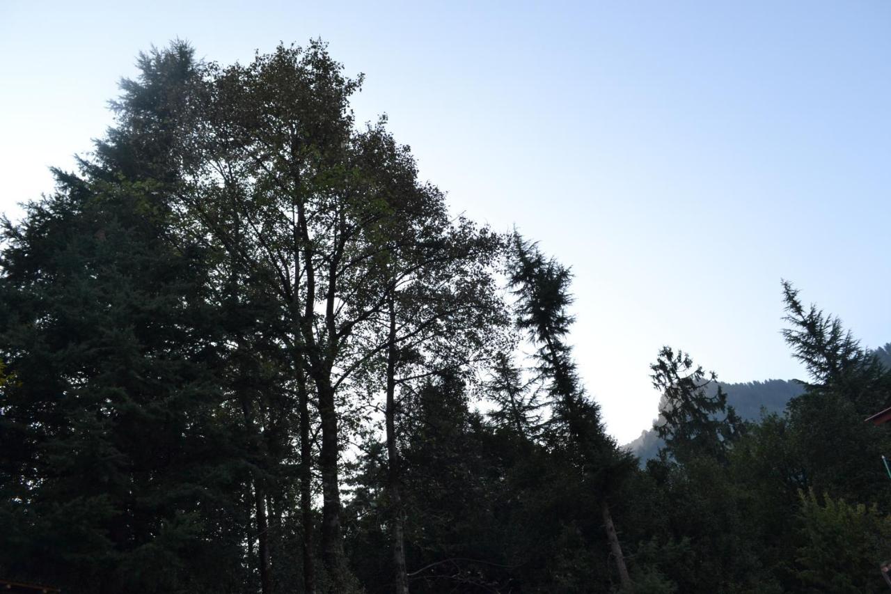 Forest Wood Cottage Manali  Luaran gambar
