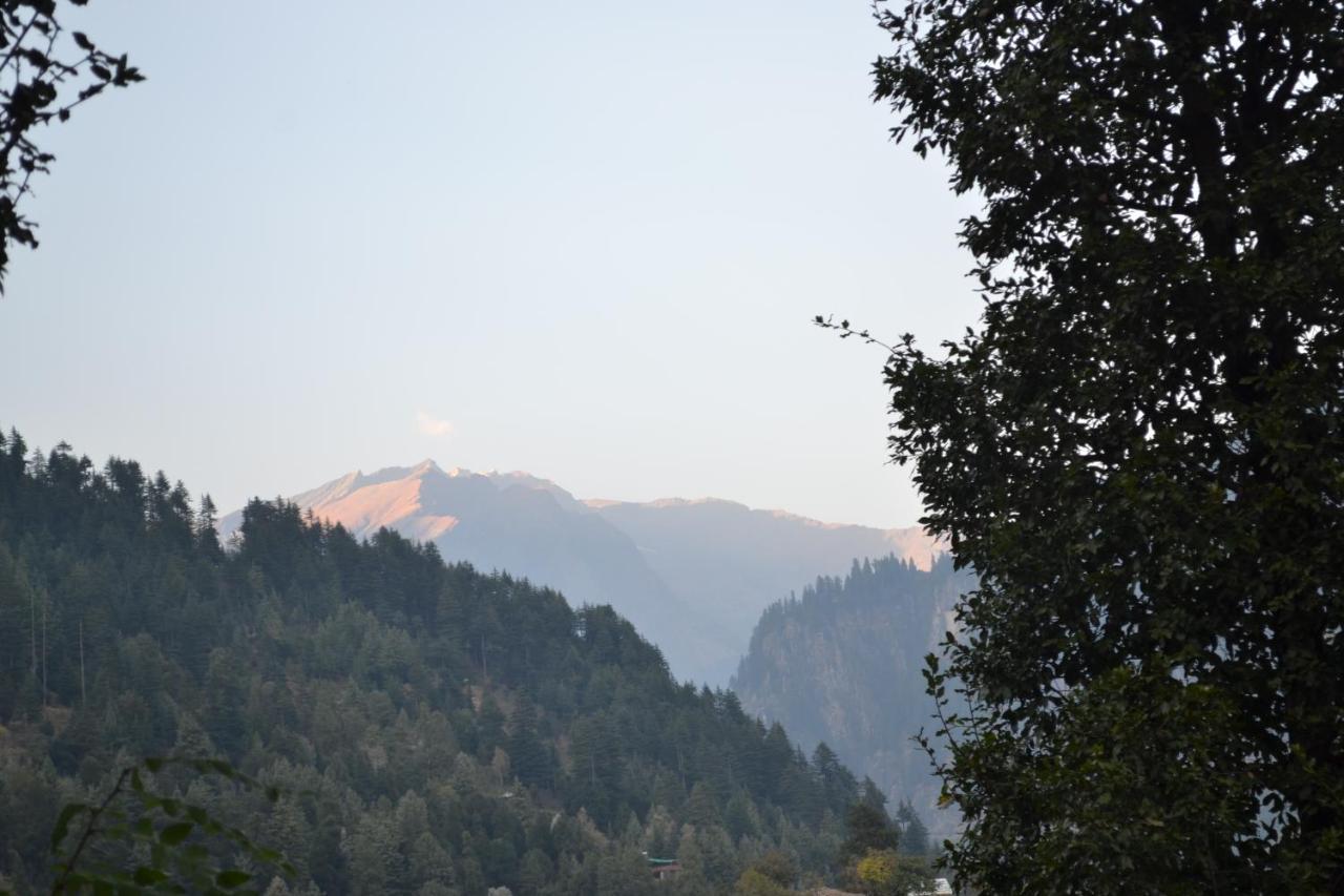 Forest Wood Cottage Manali  Luaran gambar
